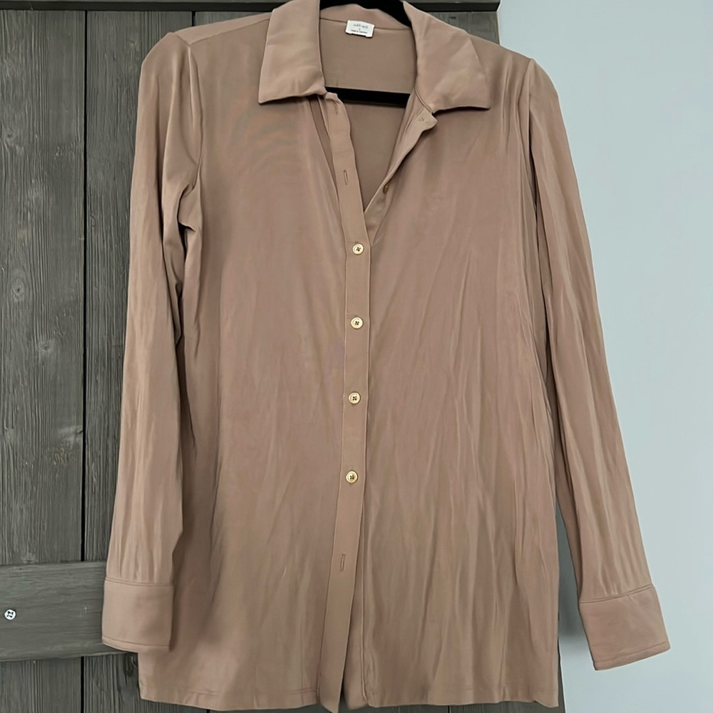 Aritzia Button Down